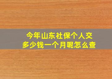 今年山东社保个人交多少钱一个月呢怎么查