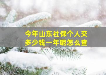 今年山东社保个人交多少钱一年呢怎么查