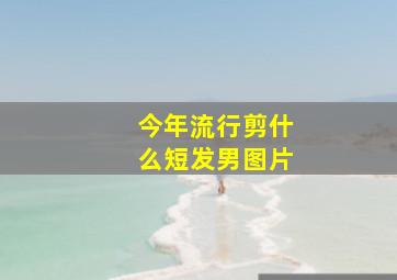 今年流行剪什么短发男图片