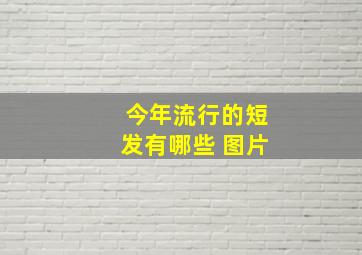 今年流行的短发有哪些 图片