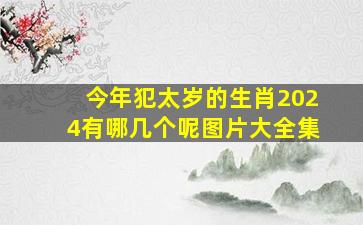 今年犯太岁的生肖2024有哪几个呢图片大全集