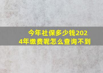 今年社保多少钱2024年缴费呢怎么查询不到