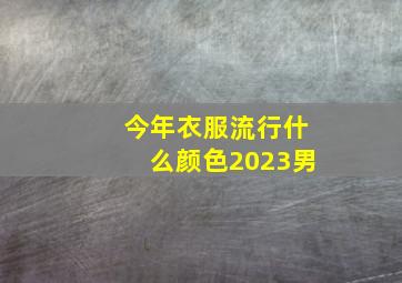 今年衣服流行什么颜色2023男