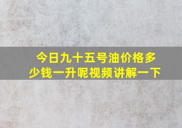 今日九十五号油价格多少钱一升呢视频讲解一下