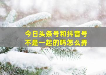 今日头条号和抖音号不是一起的吗怎么弄