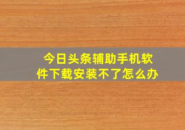 今日头条辅助手机软件下载安装不了怎么办