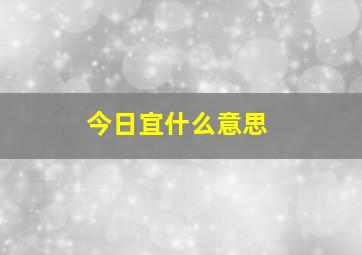 今日宜什么意思