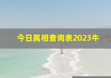 今日属相查询表2023牛