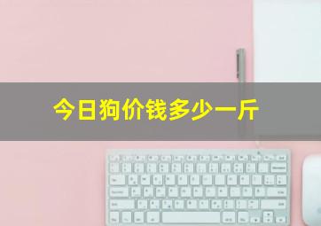 今日狗价钱多少一斤