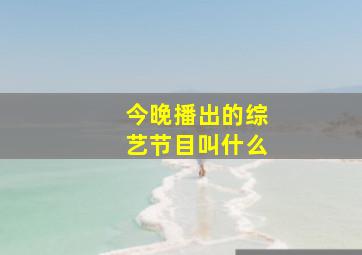 今晚播出的综艺节目叫什么