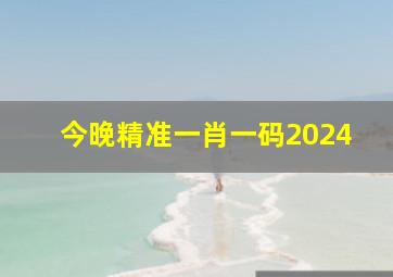 今晚精准一肖一码2024