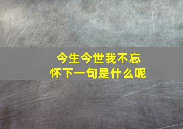 今生今世我不忘怀下一句是什么呢