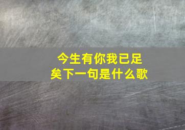 今生有你我已足矣下一句是什么歌