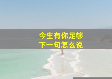 今生有你足够下一句怎么说