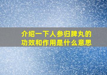 介绍一下人参归脾丸的功效和作用是什么意思