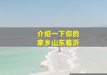 介绍一下你的家乡山东临沂