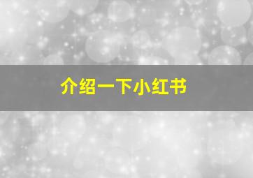 介绍一下小红书