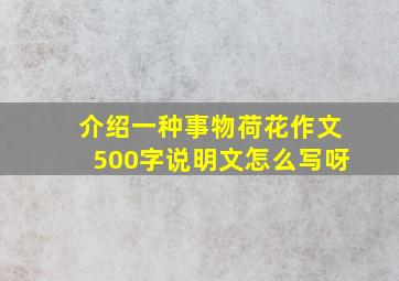 介绍一种事物荷花作文500字说明文怎么写呀