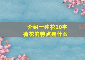 介绍一种花20字荷花的特点是什么