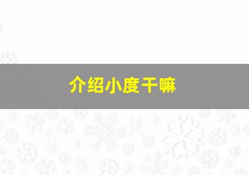 介绍小度干嘛