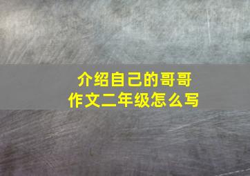 介绍自己的哥哥作文二年级怎么写