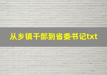 从乡镇干部到省委书记txt