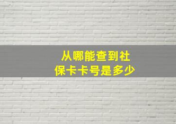 从哪能查到社保卡卡号是多少