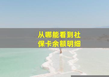 从哪能看到社保卡余额明细