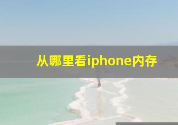 从哪里看iphone内存