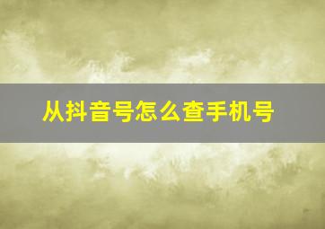 从抖音号怎么查手机号