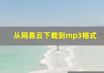 从网易云下载到mp3格式