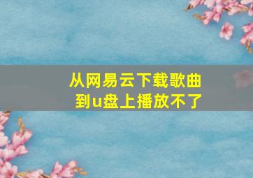 从网易云下载歌曲到u盘上播放不了