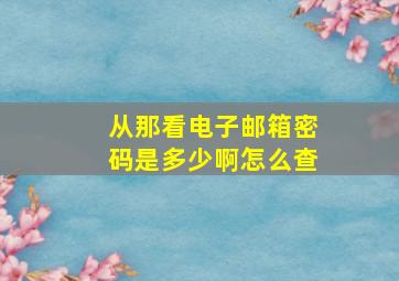 从那看电子邮箱密码是多少啊怎么查