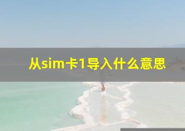 从sim卡1导入什么意思