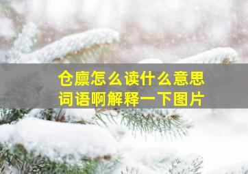 仓廪怎么读什么意思词语啊解释一下图片