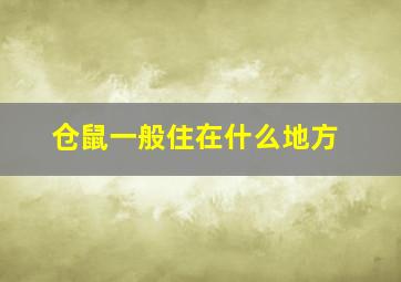 仓鼠一般住在什么地方