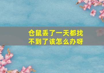 仓鼠丢了一天都找不到了该怎么办呀