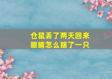 仓鼠丢了两天回来眼睛怎么瞎了一只