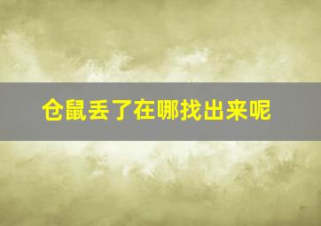 仓鼠丢了在哪找出来呢