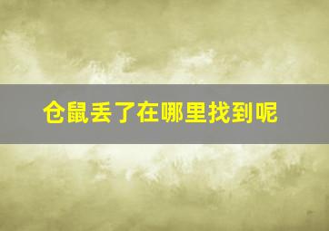 仓鼠丢了在哪里找到呢