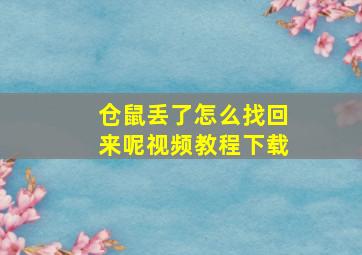 仓鼠丢了怎么找回来呢视频教程下载