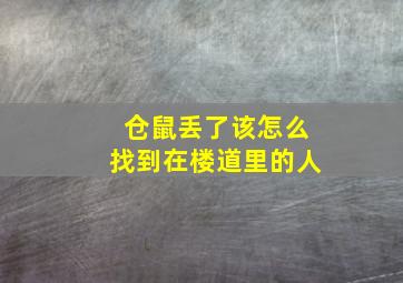 仓鼠丢了该怎么找到在楼道里的人