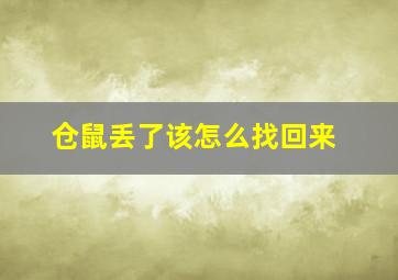 仓鼠丢了该怎么找回来