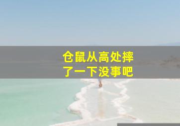 仓鼠从高处摔了一下没事吧