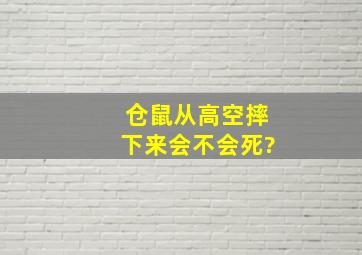 仓鼠从高空摔下来会不会死?