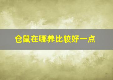 仓鼠在哪养比较好一点