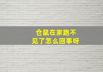 仓鼠在家跑不见了怎么回事呀