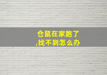 仓鼠在家跑了,找不到怎么办