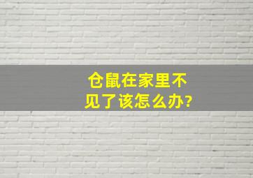 仓鼠在家里不见了该怎么办?