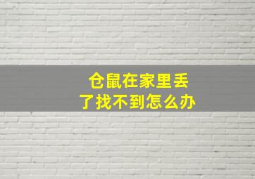 仓鼠在家里丢了找不到怎么办